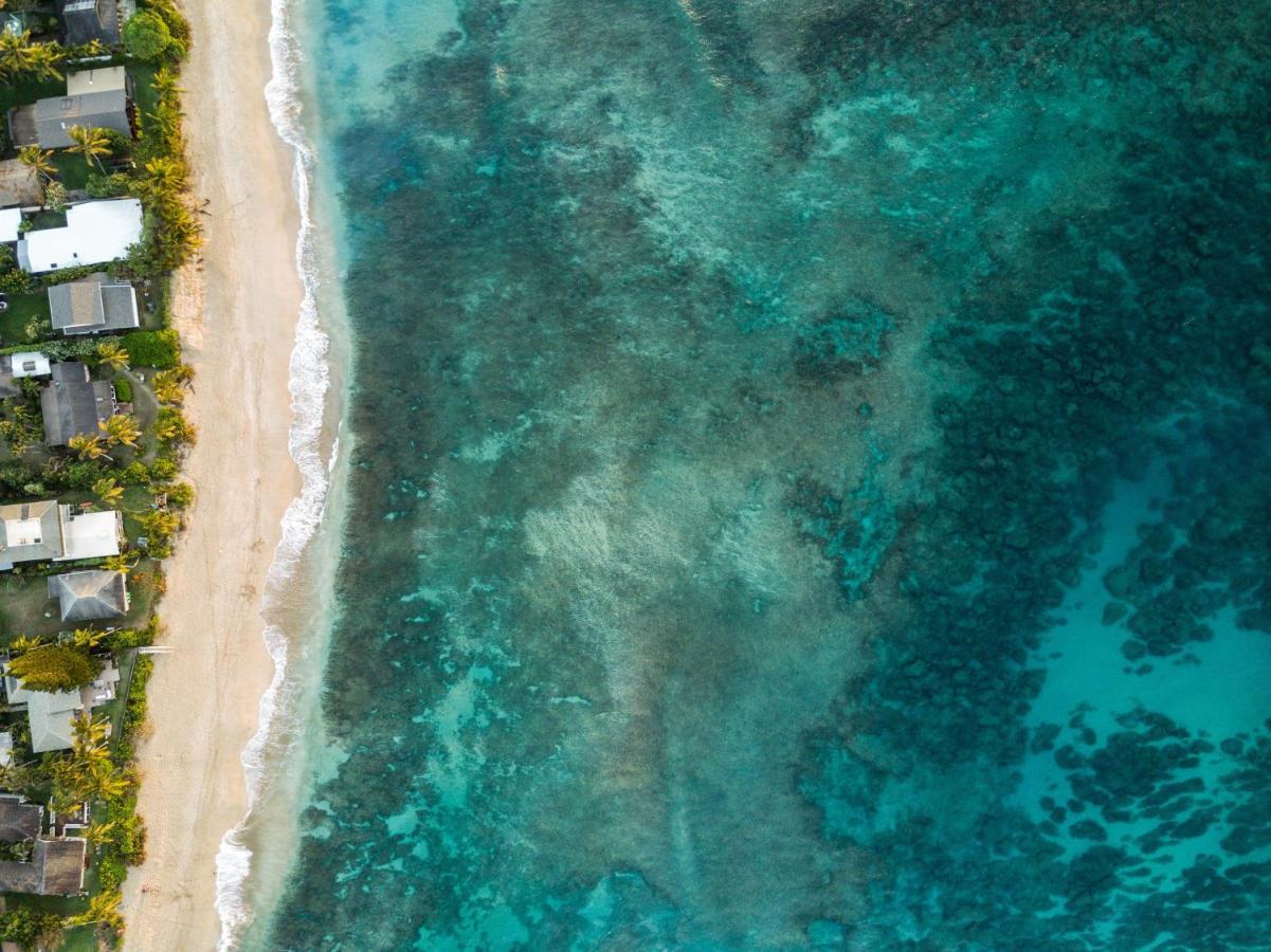 Hummingbird Oceanfront Cottage ハウウラ エクステリア 写真